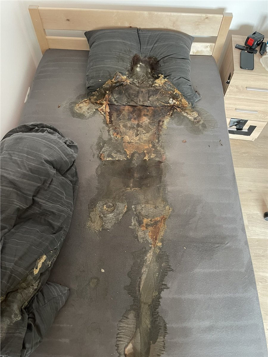 Vorschau eines Einsatzfotos