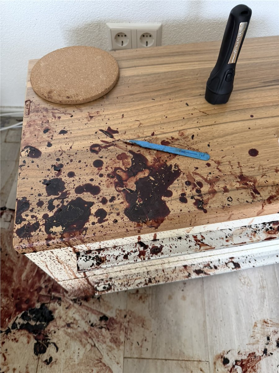 Vorschau eines Einsatzfotos