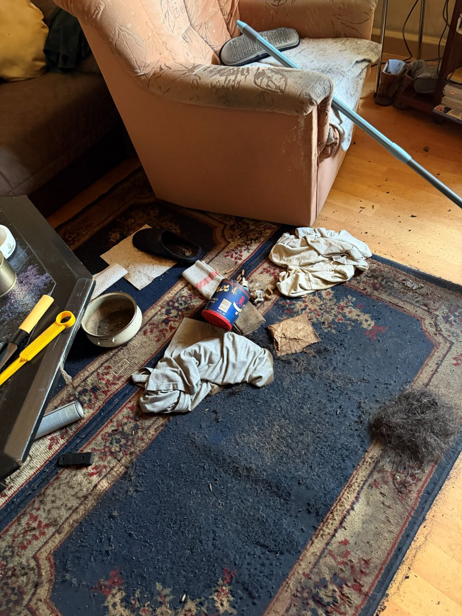 Vorschau eines Einsatzfotos